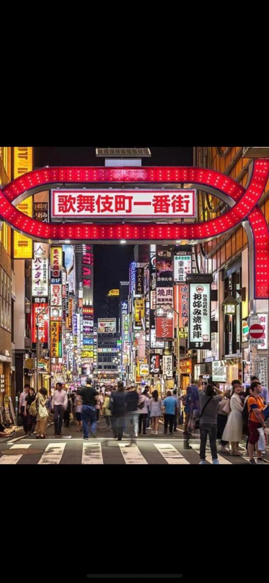 新宿安靜の家-A Quiet Home In Shinjuku - A 26 Square Meter Double Bed Room That Feels Like Home Tokyo Exterior photo